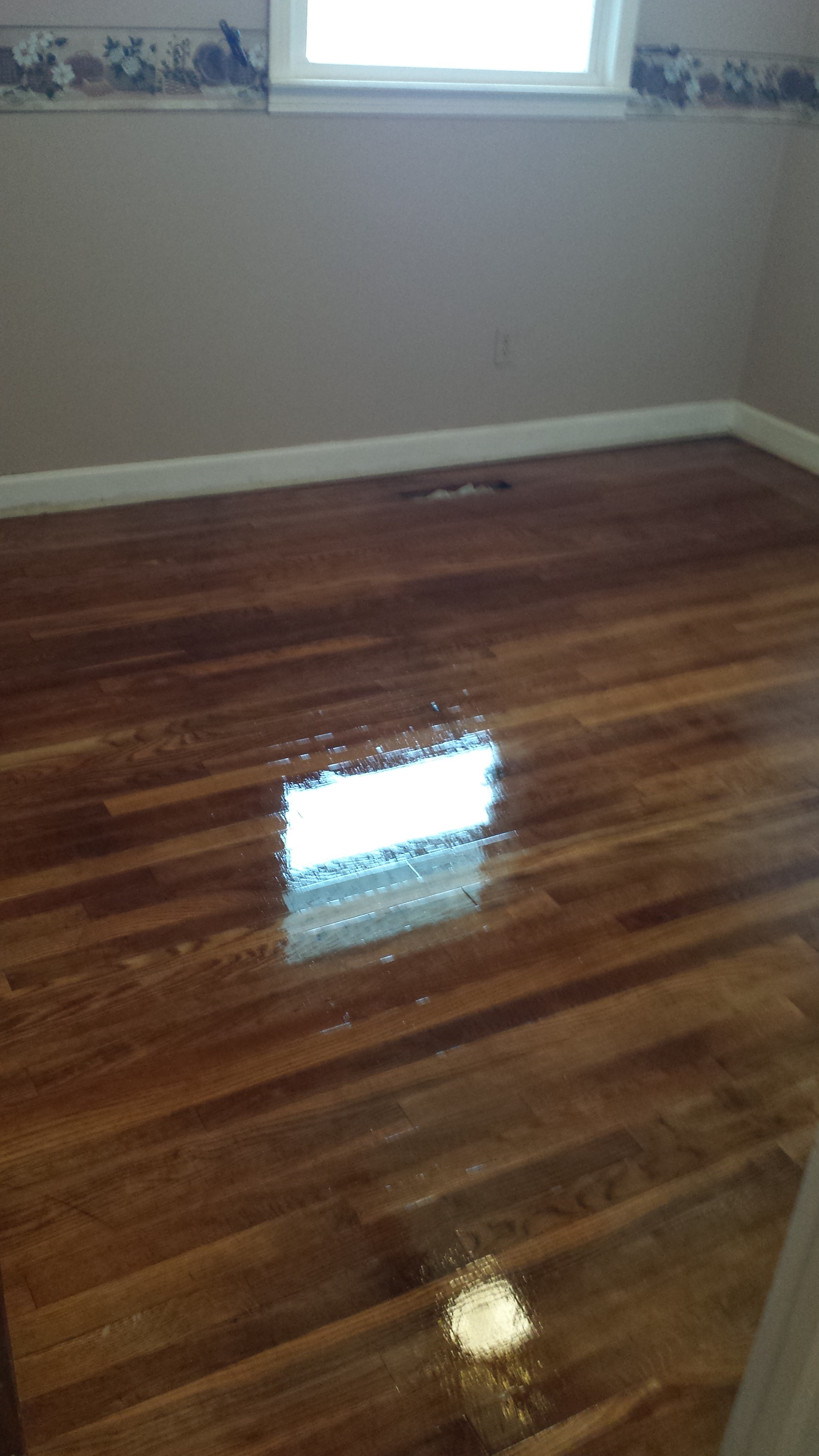 Hard Wood After Hardwood After