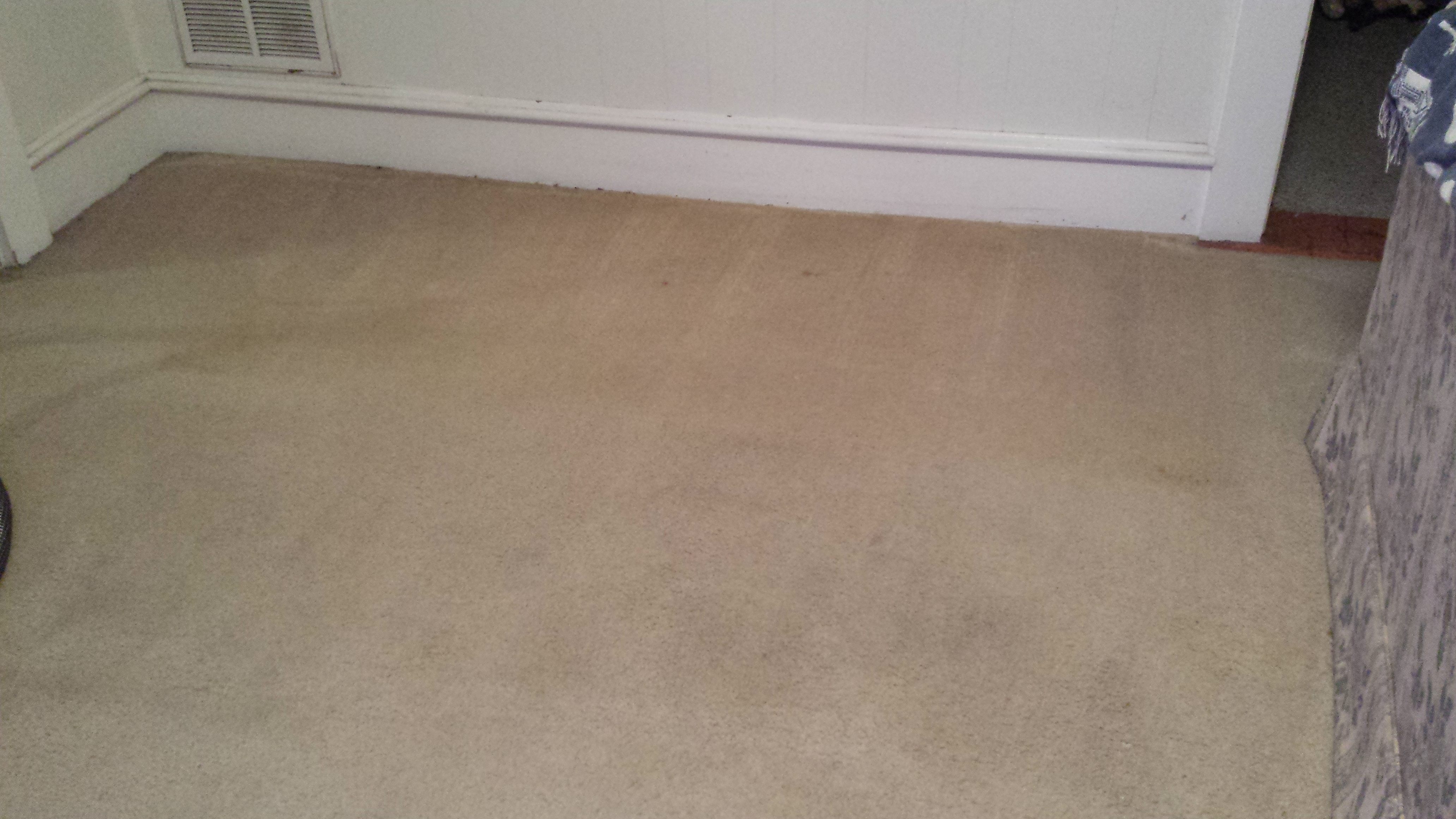 Tan Carpet After